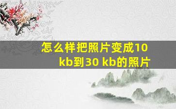 怎么样把照片变成10 kb到30 kb的照片